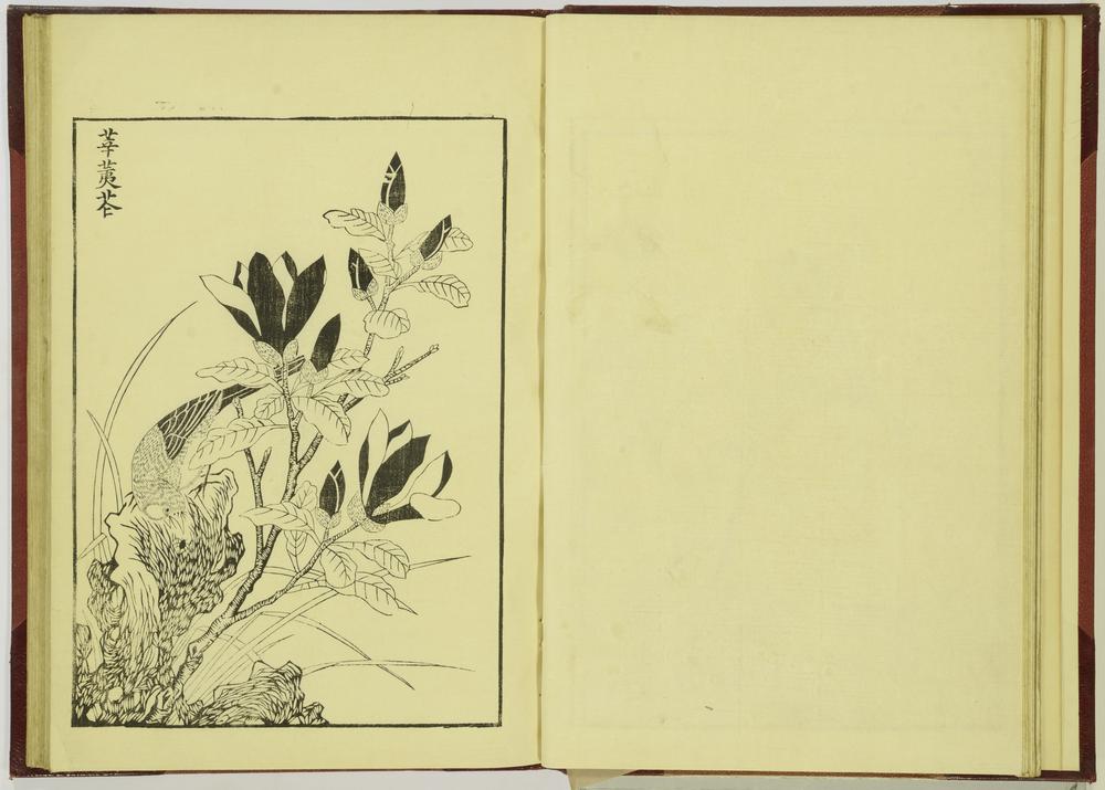 图片[13]-illustrated book; print BM-1915-0823-0.242-China Archive